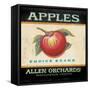 Choice Apples-Angela Staehling-Framed Stretched Canvas