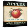 Choice Apples-Angela Staehling-Stretched Canvas