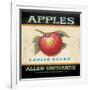 Choice Apples-Angela Staehling-Framed Art Print