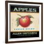 Choice Apples-Angela Staehling-Framed Art Print