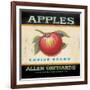 Choice Apples-Angela Staehling-Framed Art Print