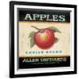 Choice Apples-Angela Staehling-Framed Art Print