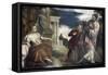 Choice Between Virtue and Passion-Paolo Veronese-Framed Stretched Canvas