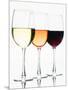 Choice Of Wines-George Oze-Mounted Photographic Print
