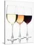 Choice Of Wines-George Oze-Stretched Canvas