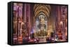 Choir Singing, St Stephens Cathedral, Vienna, Austria-Peter Adams-Framed Stretched Canvas