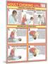 Choking First Aid Chart-Gwen Shockey-Mounted Giclee Print