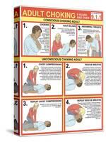 Choking First Aid Chart-Gwen Shockey-Stretched Canvas