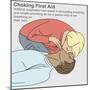 Choking First Aid-Gwen Shockey-Mounted Giclee Print