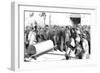 Cholera Epidemic in Naples-null-Framed Giclee Print