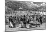 Cholera Quarantine in Italy-null-Mounted Giclee Print