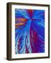 Cholesterol Crystals-PASIEKA-Framed Photographic Print