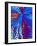 Cholesterol Crystals-PASIEKA-Framed Photographic Print