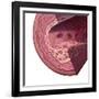 Cholesterol-Spencer Sutton-Framed Giclee Print