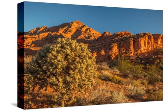 Stretched Canvas Print, , large