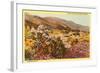 Chollas and Wildflowers, Borrego Springs, California-null-Framed Art Print