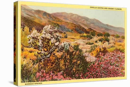 Chollas and Wildflowers, Borrego Springs, California-null-Stretched Canvas