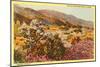 Chollas and Wildflowers, Borrego Springs, California-null-Mounted Art Print