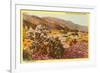 Chollas and Wildflowers, Borrego Springs, California-null-Framed Premium Giclee Print