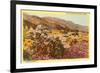 Chollas and Wildflowers, Borrego Springs, California-null-Framed Premium Giclee Print