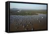 Chong Kneas Floating Village, Tonle Sap Lake, Near Siem Reap, Cambodia-David Wall-Framed Stretched Canvas