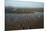 Chong Kneas Floating Village, Tonle Sap Lake, Near Siem Reap, Cambodia-David Wall-Mounted Premium Photographic Print