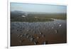 Chong Kneas Floating Village, Tonle Sap Lake, Near Siem Reap, Cambodia-David Wall-Framed Photographic Print