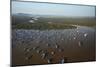 Chong Kneas Floating Village, Tonle Sap Lake, Near Siem Reap, Cambodia-David Wall-Mounted Photographic Print