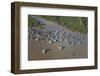 Chong Kneas Floating Village, Tonle Sap Lake, Near Siem Reap, Cambodia-David Wall-Framed Photographic Print