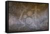 Chongoni Rock-Art Area, Malawi, Africa-Michael Runkel-Framed Stretched Canvas