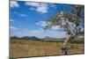 Chongoni Rock-Art Area, Malawi, Africa-Michael Runkel-Mounted Photographic Print