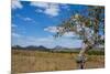 Chongoni Rock-Art Area, Malawi, Africa-Michael Runkel-Mounted Photographic Print