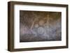 Chongoni Rock-Art Area, Malawi, Africa-Michael Runkel-Framed Photographic Print