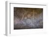 Chongoni Rock-Art Area, Malawi, Africa-Michael Runkel-Framed Photographic Print