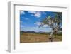 Chongoni Rock-Art Area, Malawi, Africa-Michael Runkel-Framed Photographic Print