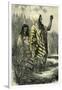 Chontaquiros Indians 1869, Peru-null-Framed Giclee Print