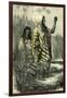 Chontaquiros Indians 1869, Peru-null-Framed Giclee Print