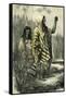 Chontaquiros Indians 1869, Peru-null-Framed Stretched Canvas