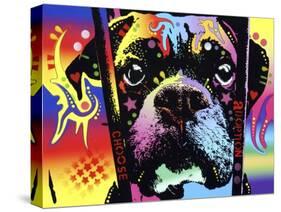 Choose Adoption Boxer-Dean Russo-Stretched Canvas