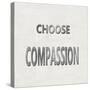 Choose Compassion-Jamie MacDowell-Stretched Canvas