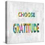 Choose Gratitude in Color-Jamie MacDowell-Stretched Canvas