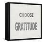 Choose Gratitude-Jamie MacDowell-Framed Stretched Canvas