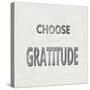 Choose Gratitude-Jamie MacDowell-Stretched Canvas