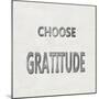 Choose Gratitude-Jamie MacDowell-Mounted Art Print