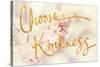 Choose Kindness-Sarah Gardner-Stretched Canvas