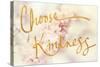 Choose Kindness-Sarah Gardner-Stretched Canvas