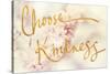 Choose Kindness-Sarah Gardner-Stretched Canvas