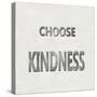 Choose Kindness-Jamie MacDowell-Stretched Canvas