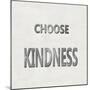 Choose Kindness-Jamie MacDowell-Mounted Art Print