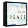 Choose Peace In Color-Jamie MacDowell-Framed Stretched Canvas